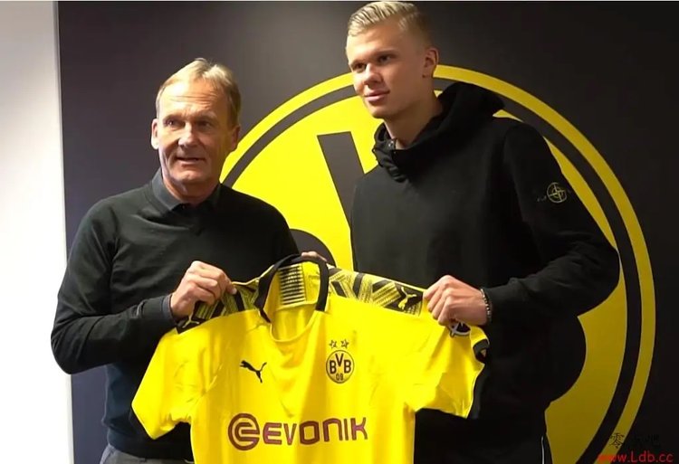 约基奇28+9+11超越篮球之神，穆雷34分超新星打铁，掘金8连斩黄蜂（约基奇28+9+11再创纪录，穆雷34分发威，掘金豪取8连胜擒黄蜂）