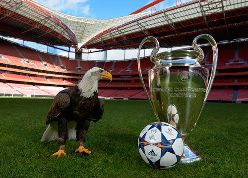 某队因违规遭重罚，官方回应惹争议（某队违规被重罚，官方回应引发争议）